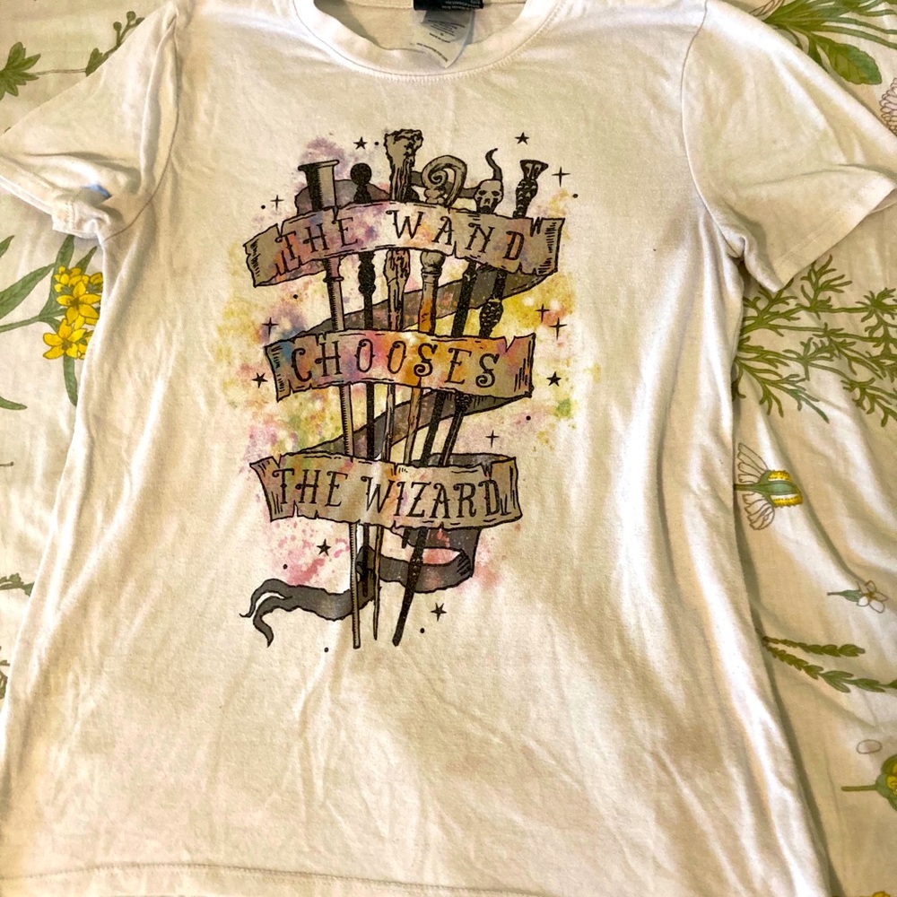 the wand choose the wizard